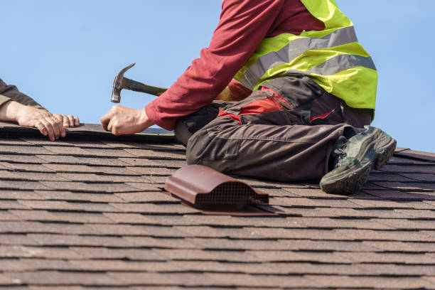 Best Roof Repair Specialists  in Clara City, MN