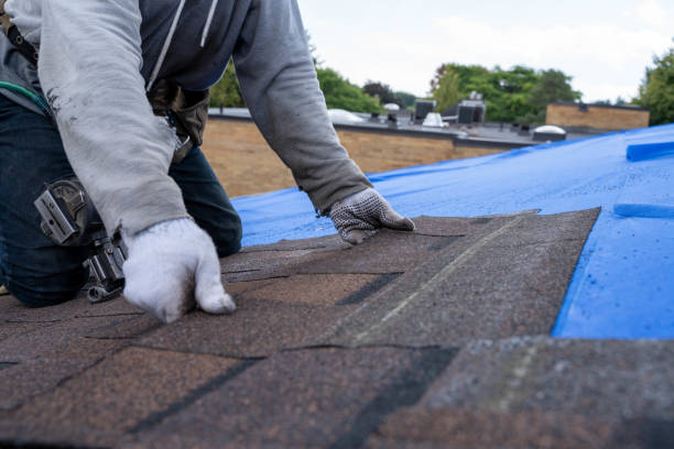Best Commercial Roofing Services  in Clara City, MN