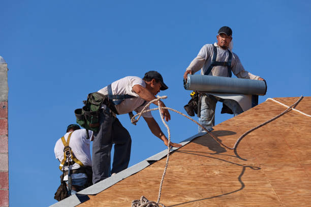 Best Local Roofing Companies  in Clara City, MN