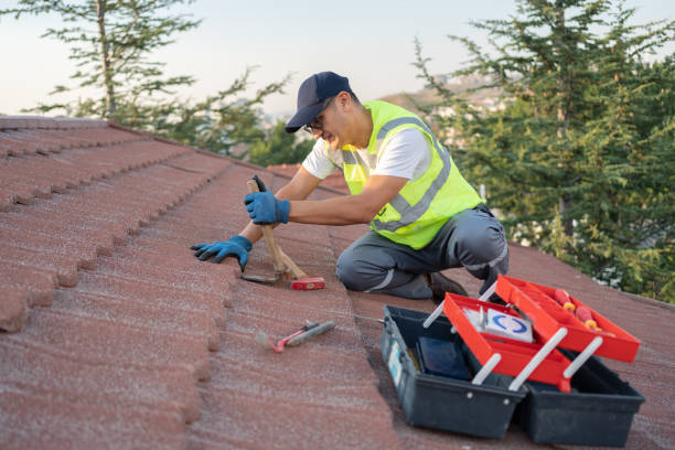 Best Flat Roof Repair Services  in Clara City, MN