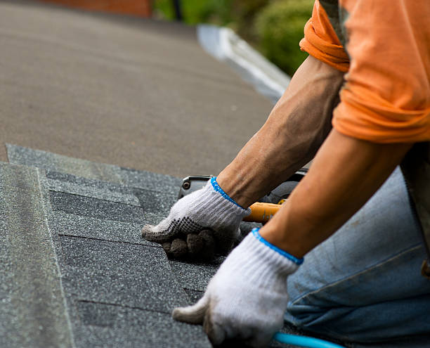 Best Roofing Contractors for Homes  in Clara City, MN