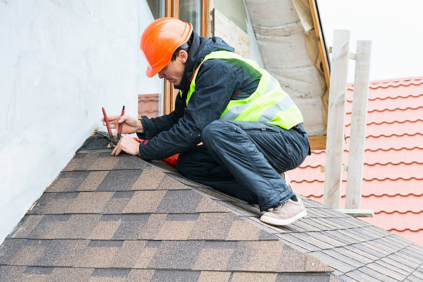 Best Sealant for Roof  in Clara City, MN