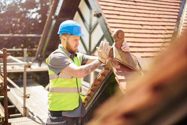 Best Storm Damage Roof Repair  in Clara City, MN