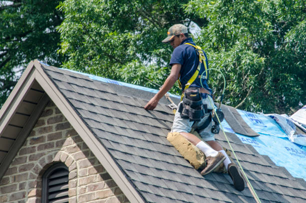 Best Roof Replacement Cost  in Clara City, MN